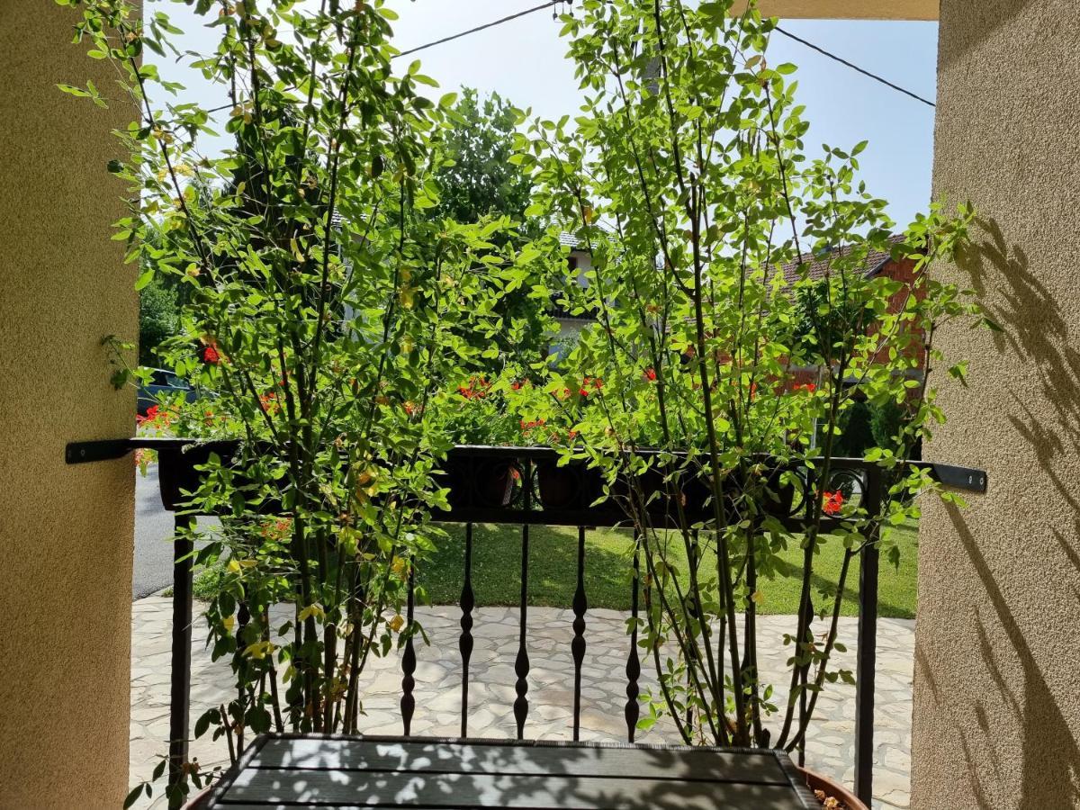 Zrinka House Hotel Грабовац Стая снимка